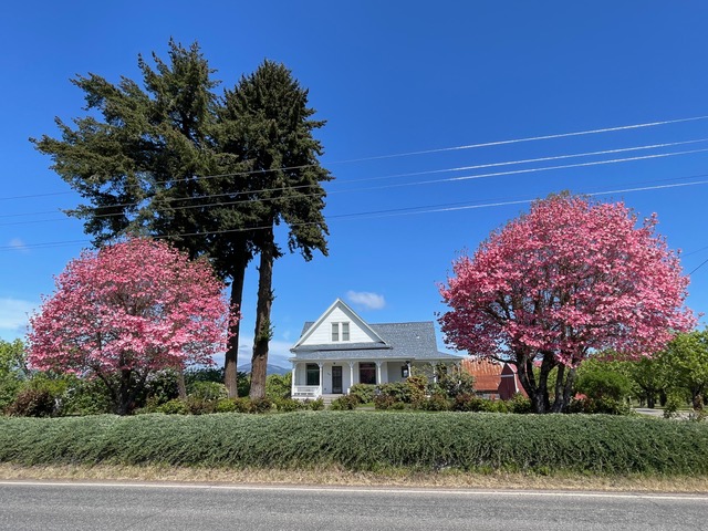 •House • 2 Bedrooms • 2 Bath - yard care included
$2,900 monthly